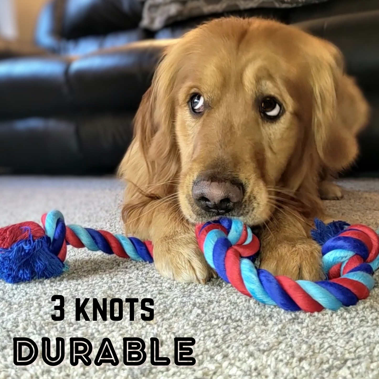 Baxter's Brothers Rope toy